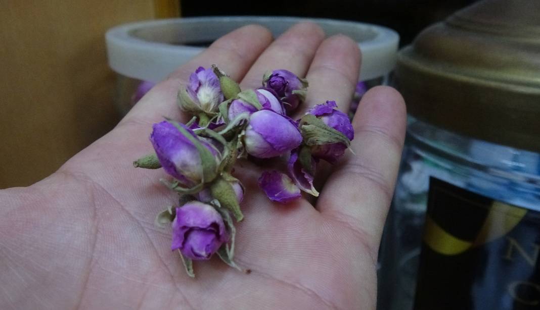 Konya’da uzman isimden bitki çayı uyarısı: Problemlere yol açabiliyor 6